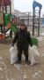 Работа с муниципальными дворниками продолжается: они убирают мусор на улицах Губинского округа, поддерживая чистоту и порядок! Спасибо за ежедневный труд!
