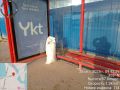 Ежедневная уборка мусора муниципальными дворниками на территории Автодорожного округа