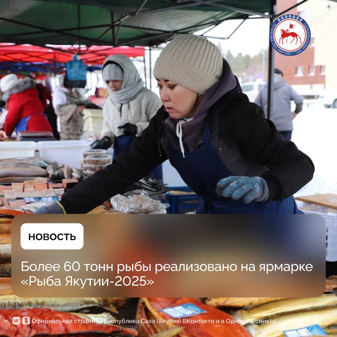 XV республиканская ярмарка «Рыба Якутии-2025» традиционно прошла с 24 по 26 октября на Комсомольской площади в Якутске