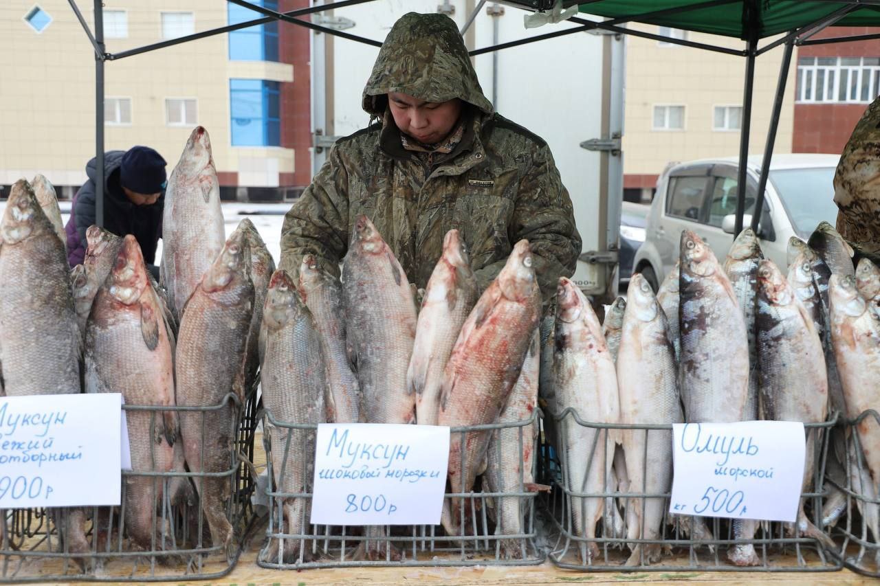 На XV республиканской ярмарке «Рыба Якутии-2025» в Якутске было продано более 60 тонн свежей рыбы На XV республиканской ярмарке «Рыба Якутии-2025» в Якутске было продано более 60 тонн свежей рыбы