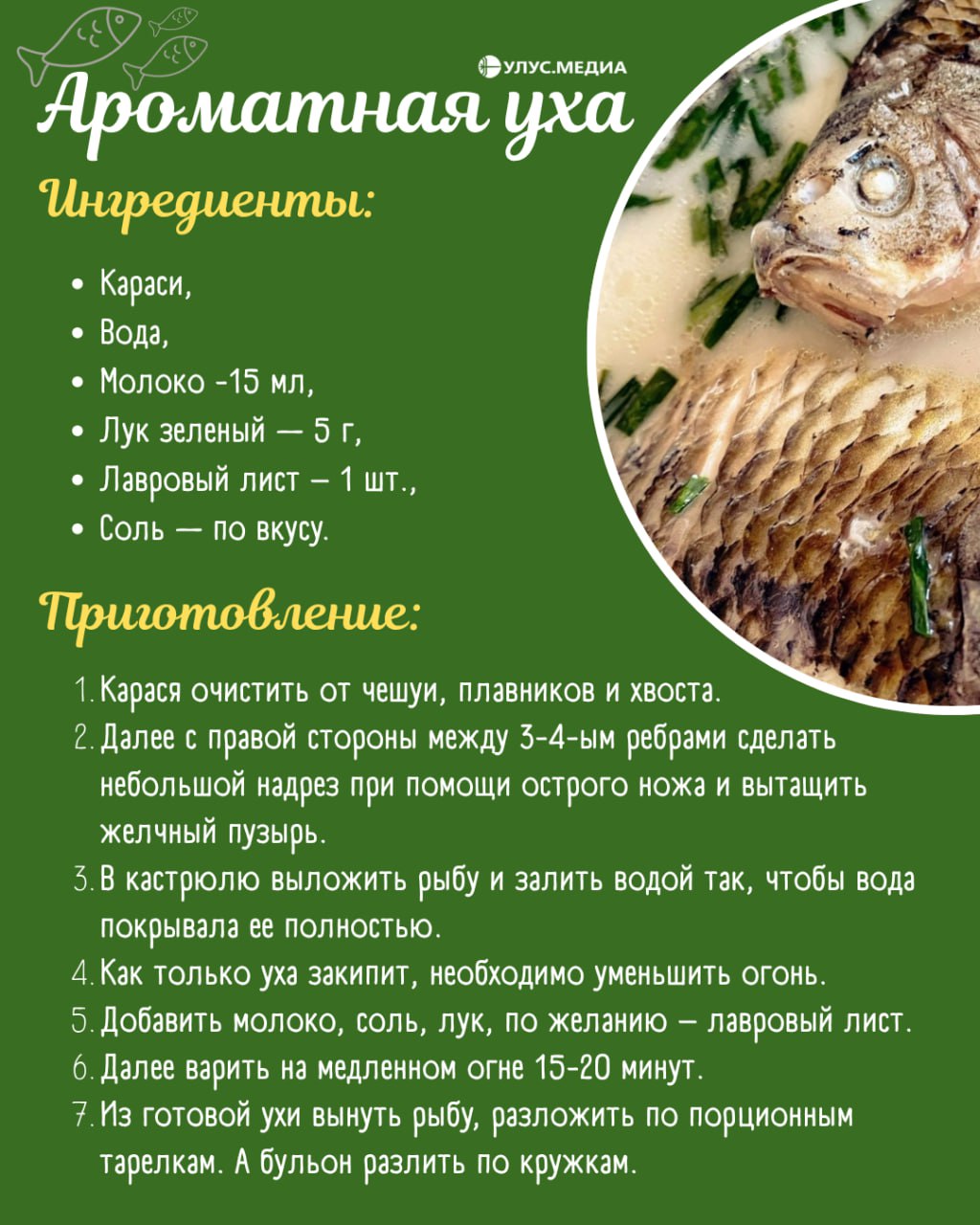 Самые популярные блюда муха в Якутии: что приготовить из карасей Самые популярные блюда муха в Якутии: что приготовить из карасей