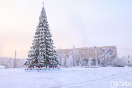С 5 ноября на площади Республики начнут устанавливать новогоднюю елку