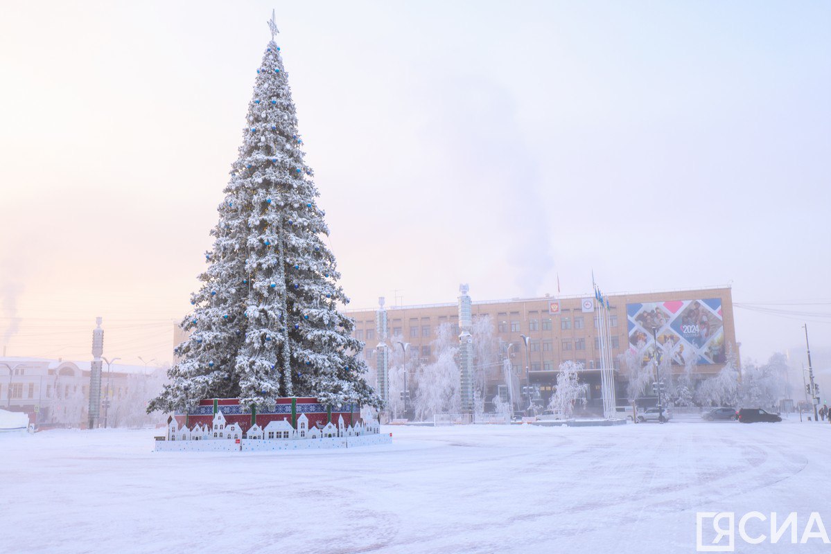 С 5 ноября на площади Республики начнут устанавливать новогоднюю елку