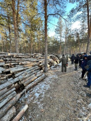 Специалисты Управы Центрального округа принимают участие в общегородском субботнике по подготовке дров семьям СВО