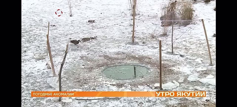 Почему нынешняя осень в Якутии теплая и с чем это связано в «Утро Якутии» обсудили с ученым с Моисеем Захаровым