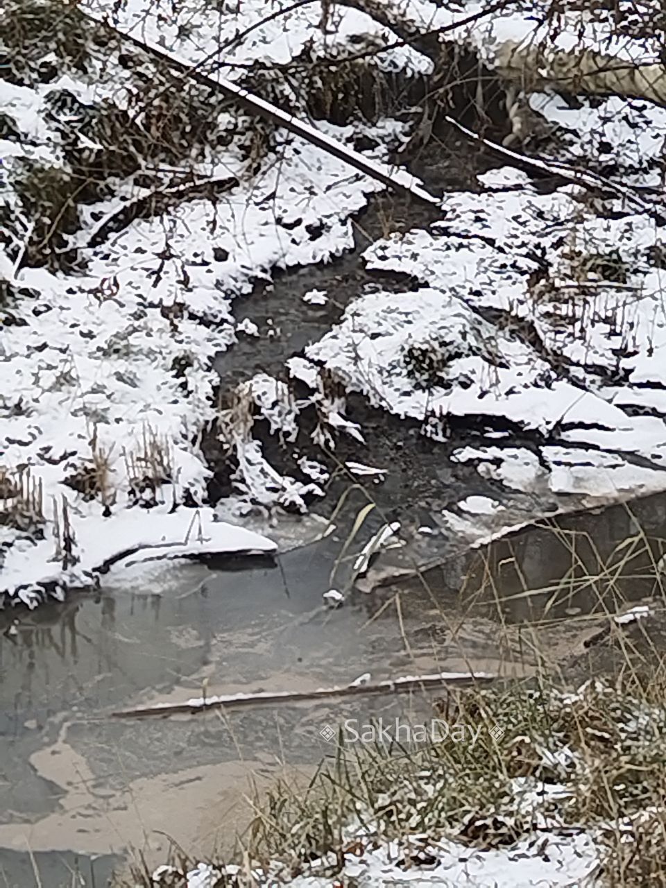 #пишут на Лермонтова напротив Вавилон канашку прорвало #пишут на Лермонтова напротив Вавилон канашку прорвало