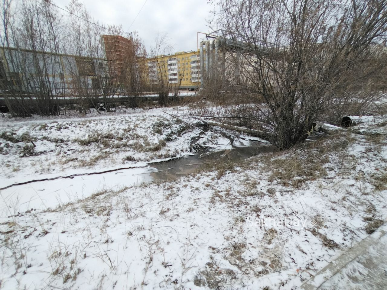 #пишут на Лермонтова напротив Вавилон канашку прорвало