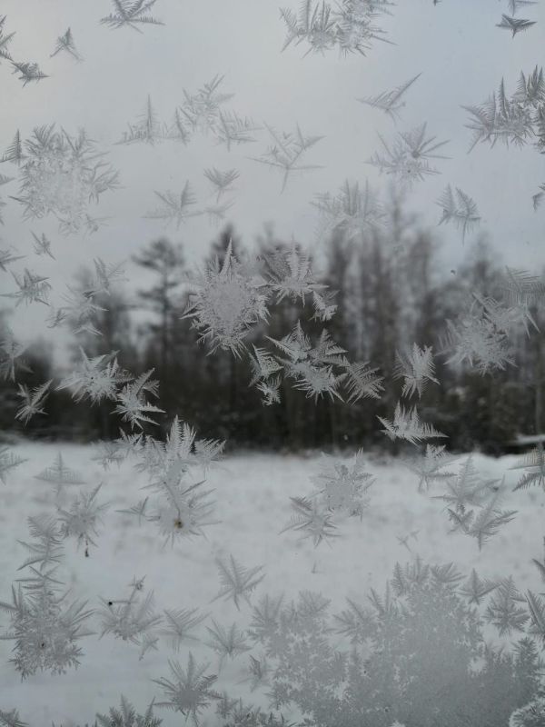 Первые морозные узоры на окне