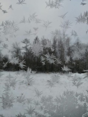 Первые морозные узоры на окне