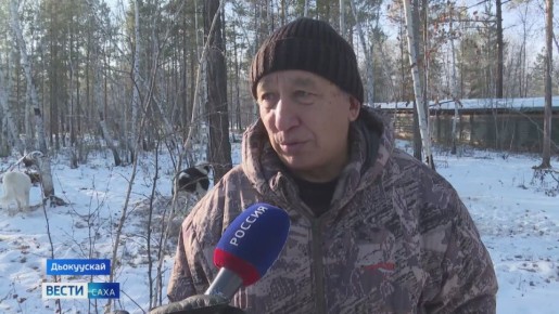 Саха булчут боруода ыттары иитэр питомник кыстыкка киирэргэ бэлэмнэнэр