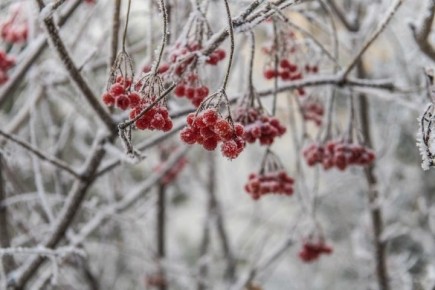 Доброе утро, Якутия!. В ближайшие дни сохранится морозная погода