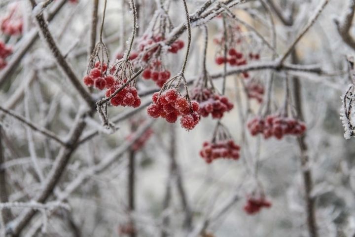 Доброе утро, Якутия!. В ближайшие дни сохранится морозная погода