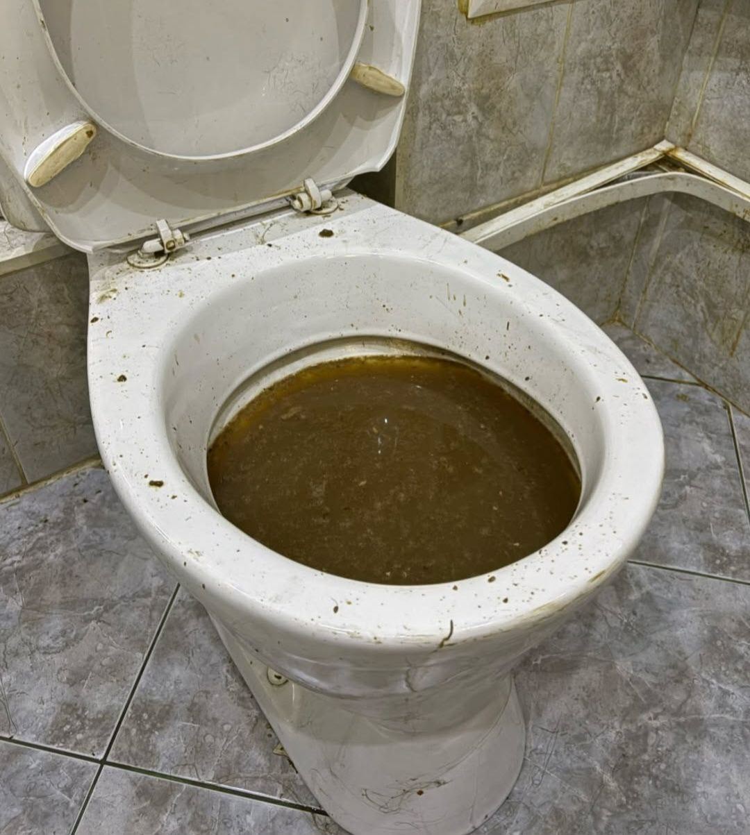 В Якутске девушка превратила съемную квартиру в свинарник