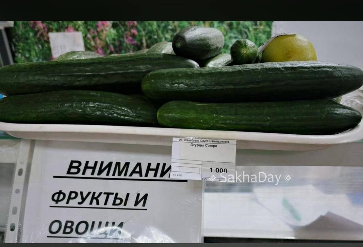 Здравствуйте, огурцы в Депутатском