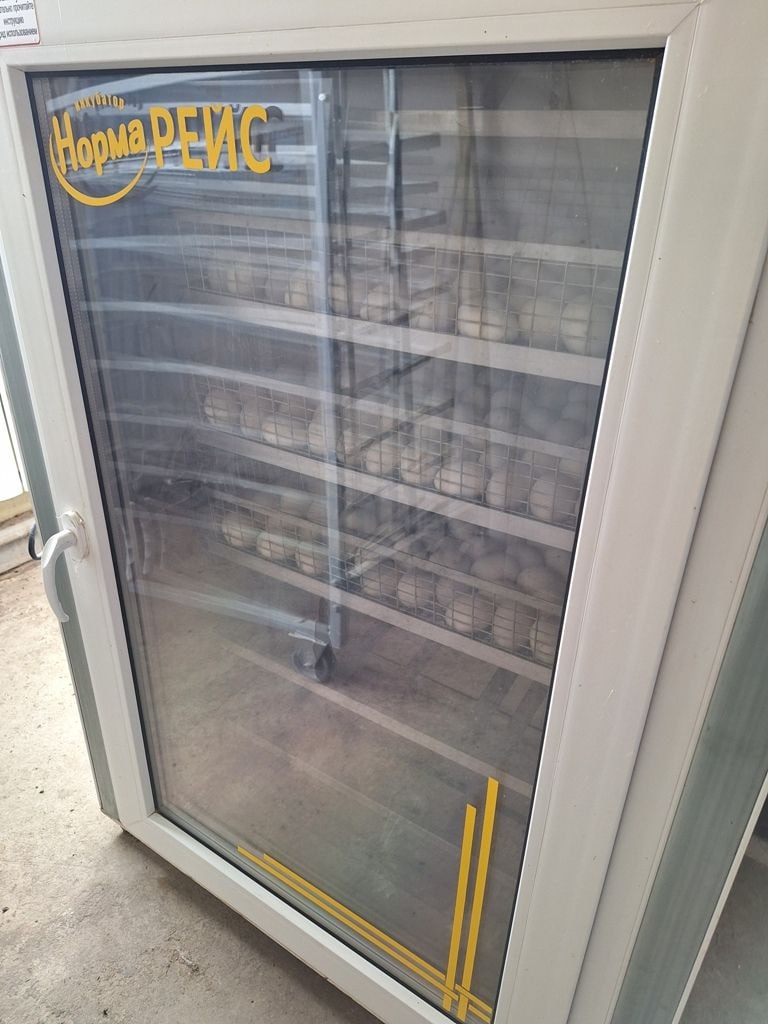 Ким харса суох хамнанар – ол аыыр-танар йэтэ, эбэтэр тыа сирин лэит ыала ктр иитэр холобуруттан Ким харса суох хамнанар – ол аыыр-танар йэтэ, эбэтэр тыа сирин лэит ыала ктр иитэр холобуруттан