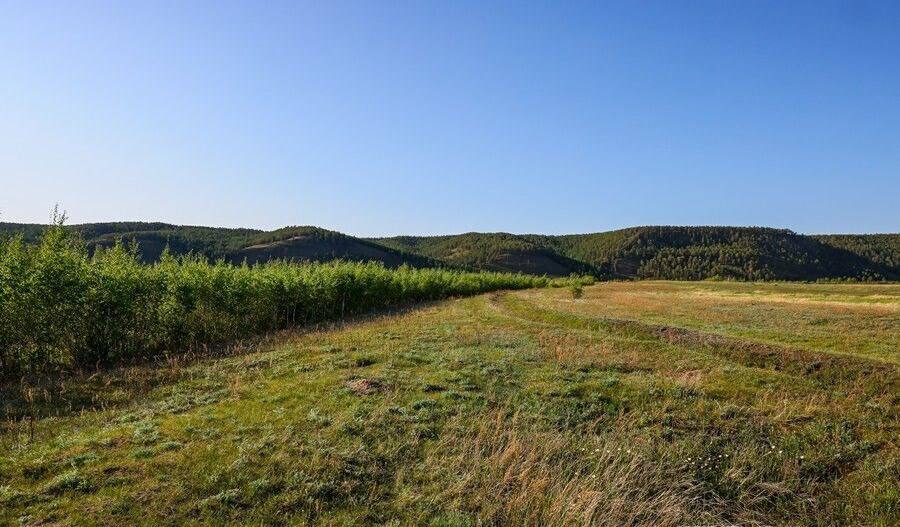 МИЗО Якутии разъяснило порядок предоставления земли участникам СВО