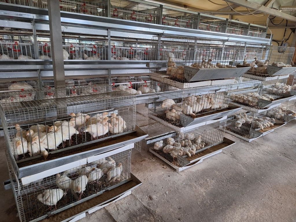 Ким харса суох хамнанар – ол аыыр-танар йэтэ, эбэтэр тыа сирин лэит ыала ктр иитэр холобуруттан