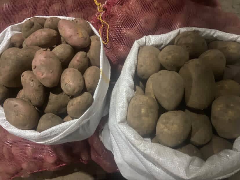 ЕЖЕДНЕВНАЯ ДОСТАВКА. МЕСТНЫХ ОВОЩЕЙ