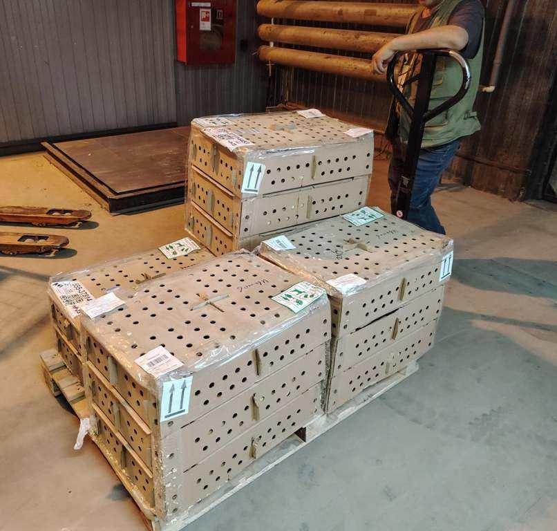 Ким харса суох хамнанар – ол аыыр-танар йэтэ, эбэтэр тыа сирин лэит ыала ктр иитэр холобуруттан Ким харса суох хамнанар – ол аыыр-танар йэтэ, эбэтэр тыа сирин лэит ыала ктр иитэр холобуруттан