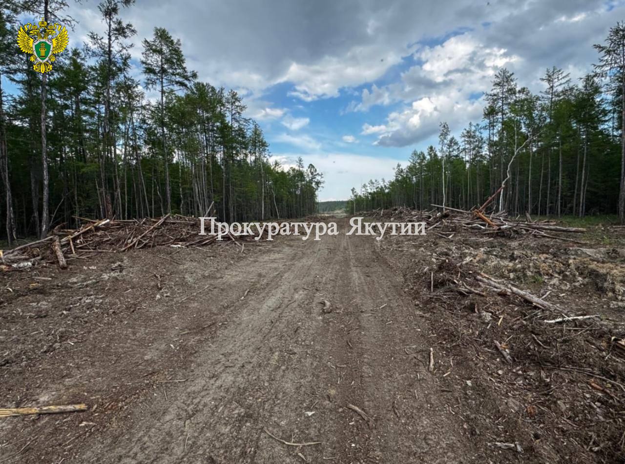 В Хангаласском районе прокуратура направила в суд уголовное дело о незаконной рубке лесных насаждений в особо крупном размере В Хангаласском районе прокуратура направила в суд уголовное дело о незаконной рубке лесных насаждений в особо крупном размере