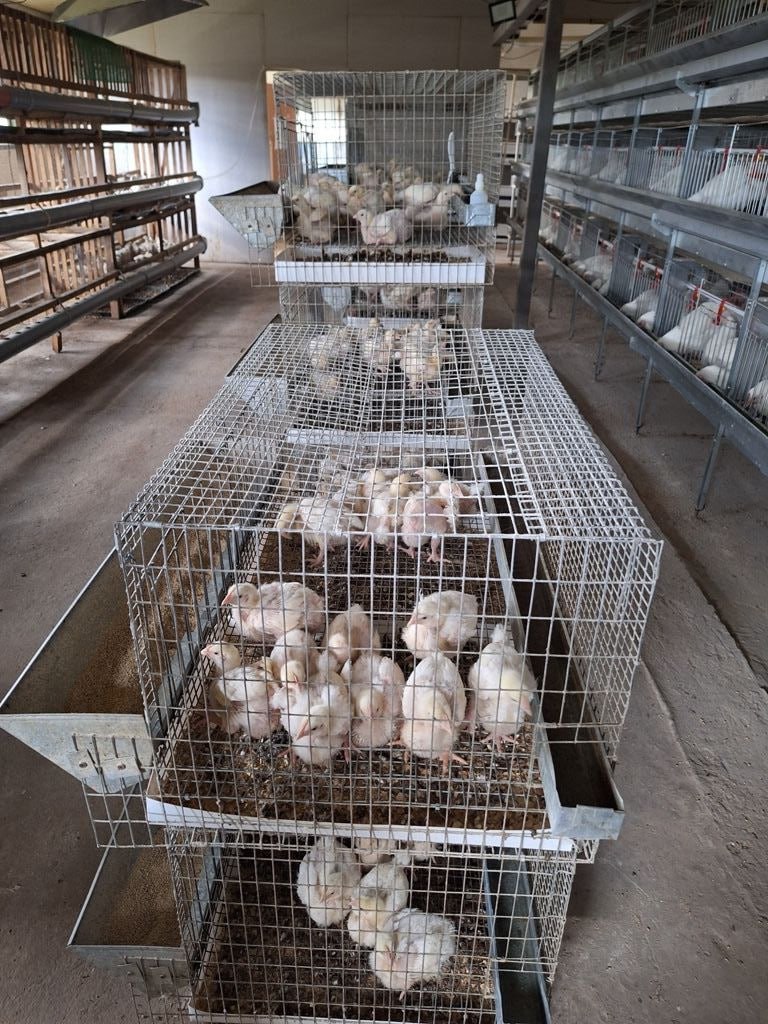 Ким харса суох хамнанар – ол аыыр-танар йэтэ, эбэтэр тыа сирин лэит ыала ктр иитэр холобуруттан Ким харса суох хамнанар – ол аыыр-танар йэтэ, эбэтэр тыа сирин лэит ыала ктр иитэр холобуруттан