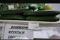 Здравствуйте, огурцы в Депутатском