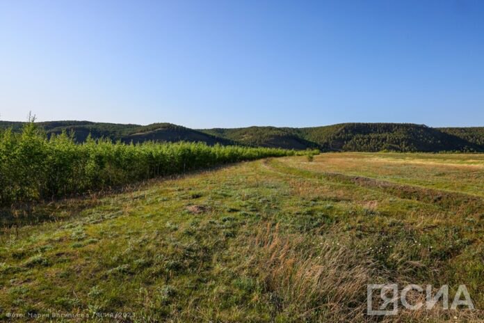 В Якутии многодетным семьям предоставили более 14 тысяч земельных участков