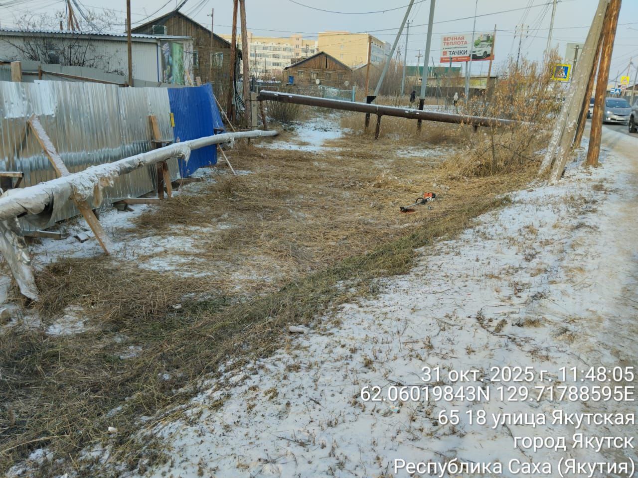 Ежедневная работа муниципальных дворников на территории Строительного округа Ежедневная работа муниципальных дворников на территории Строительного округа