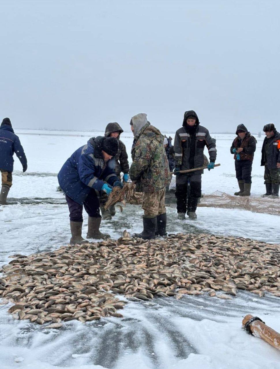 БАЙАНАЙ ЫЙА ММТНЭН!. Алтынньы ый тиэх кнгэр 3 нэилиэк дьоно-сэргэтэ, Тл 3, Тарат 2, Тумул 1 муханан кыттыан - барыта 6 муханан Сэгэлэйи балыктаатылар БАЙАНАЙ ЫЙА ММТНЭН!. Алтынньы ый тиэх кнгэр 3 нэилиэк дьоно-сэргэтэ, Тл 3, Тарат 2, Тумул 1 муханан кыттыан - барыта 6 муханан Сэгэлэйи балыктаатылар
