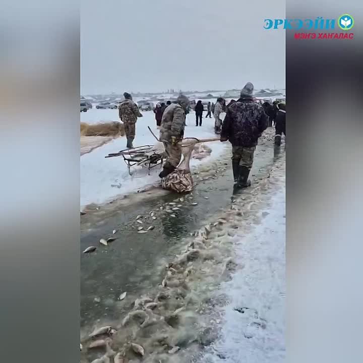 БАЙАНАЙ ЫЙА ММТНЭН!. Алтынньы ый тиэх кнгэр 3 нэилиэк дьоно-сэргэтэ, Тл 3, Тарат 2, Тумул 1 муханан кыттыан - барыта 6 муханан Сэгэлэйи балыктаатылар