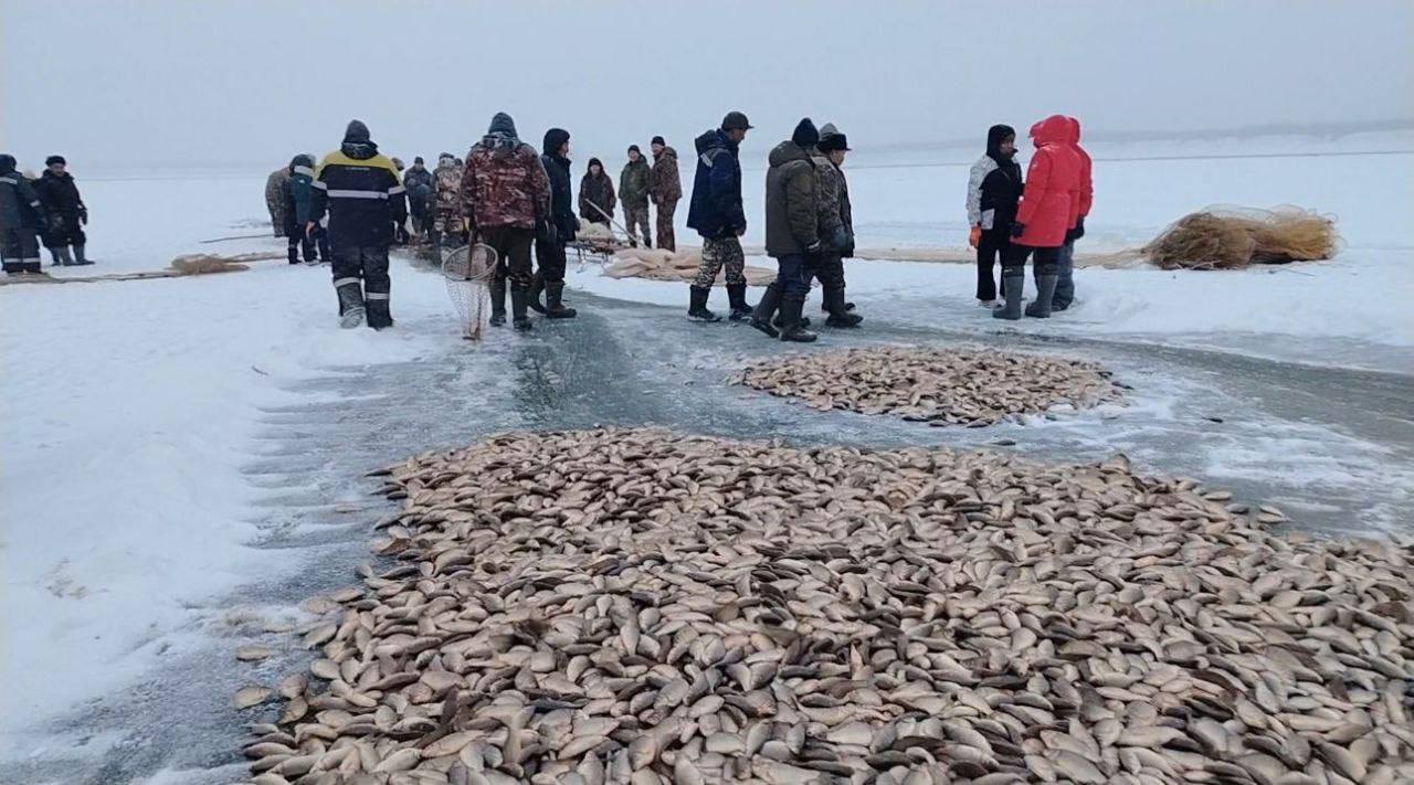 БАЙАНАЙ ЫЙА ММТНЭН!. Алтынньы ый тиэх кнгэр 3 нэилиэк дьоно-сэргэтэ, Тл 3, Тарат 2, Тумул 1 муханан кыттыан - барыта 6 муханан Сэгэлэйи балыктаатылар БАЙАНАЙ ЫЙА ММТНЭН!. Алтынньы ый тиэх кнгэр 3 нэилиэк дьоно-сэргэтэ, Тл 3, Тарат 2, Тумул 1 муханан кыттыан - барыта 6 муханан Сэгэлэйи балыктаатылар