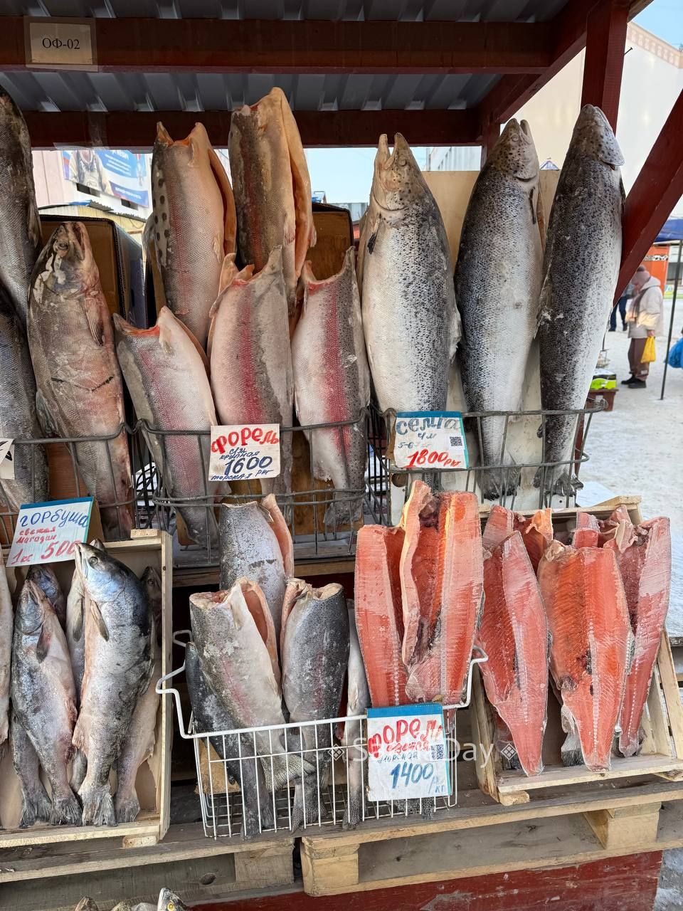 Караси и кальмары по одной цене, ряпушка 500-650 рублей, кровяная колбаса 1 тыс., масло 1500, жеребятина от 1000 до 1800 рублей- делимся сегодняшними ценами на рынке Якутска Караси и кальмары по одной цене, ряпушка 500-650 рублей, кровяная колбаса 1 тыс., масло 1500, жеребятина от 1000 до 1800 рублей- делимся сегодняшними ценами на рынке Якутска