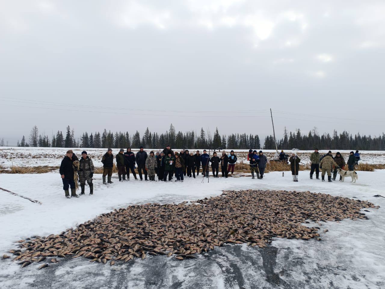 Что говорят народные приметы о погоде в ноябре