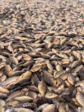 Сэтинньи ый саха дьонугар Баай Байанай ыйа!