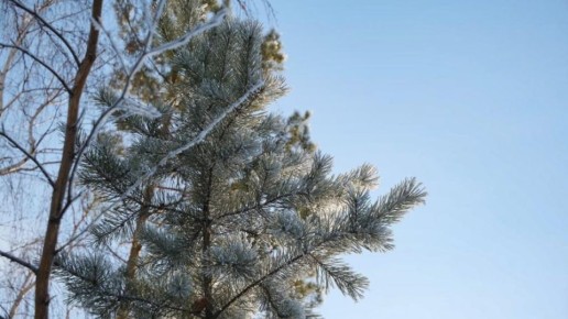 Прогноз погоды в Якутии на 3 ноября