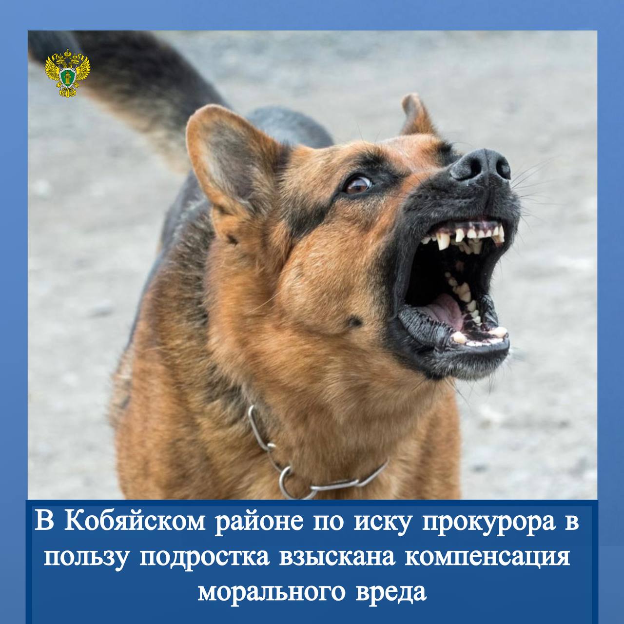 Новости прокуратуры на Едином портале прокуратуры РФ Новости прокуратуры на Едином портале прокуратуры РФ