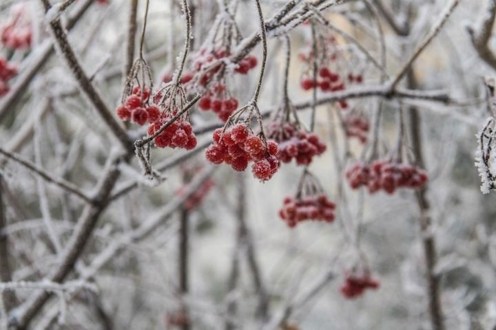 Доброе утро, Якутия!. На большей части территории Республики ожидается небольшой снег