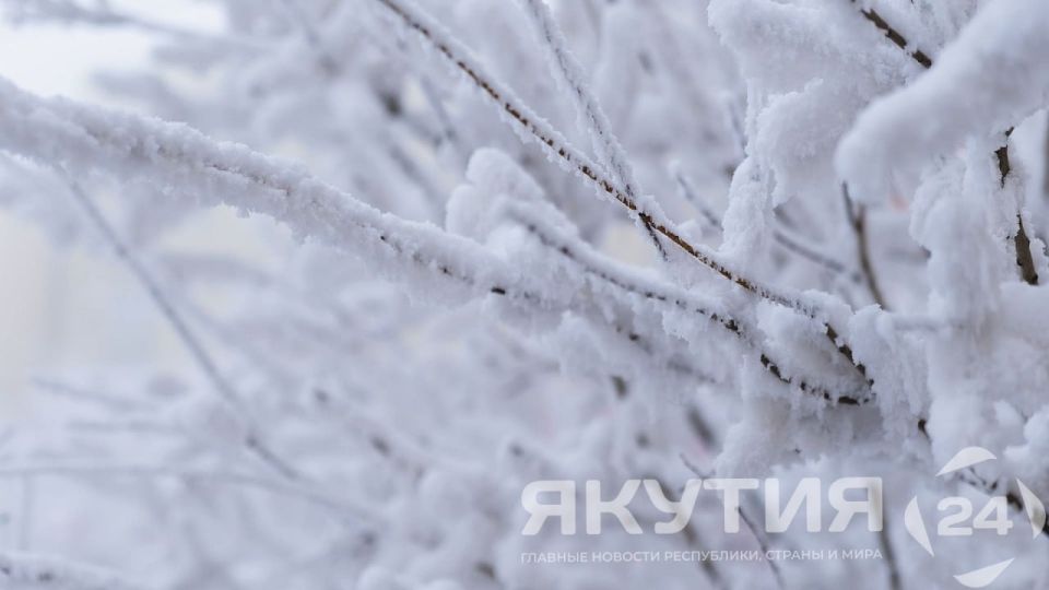 Прогноз погоды в Якутии на 5 ноября: снег и сильный ветер