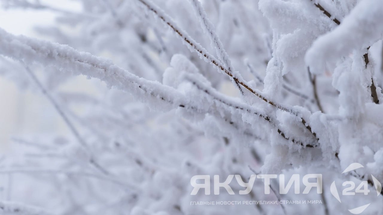 Прогноз погоды в Якутии на 5 ноября: снег и сильный ветер