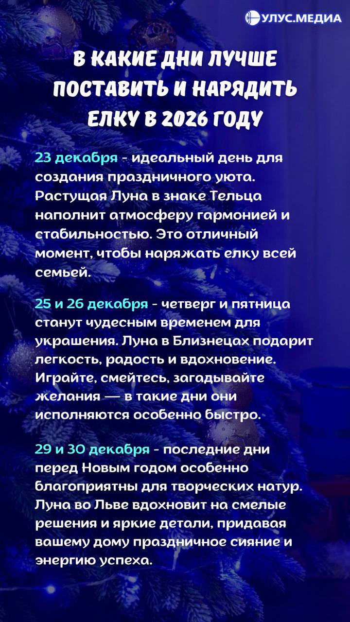 Когда ставить ёлку, чтобы весь 2026 год был удачным