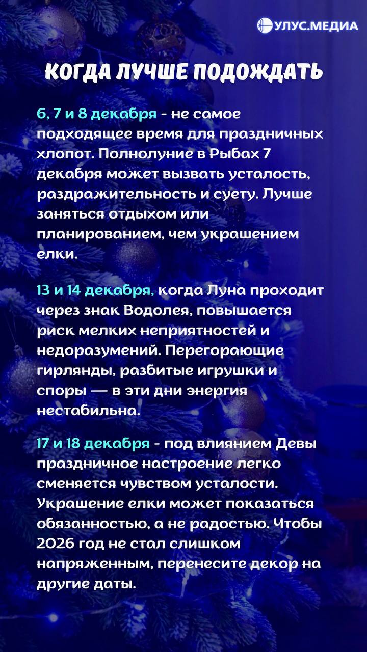 Когда ставить ёлку, чтобы весь 2026 год был удачным Когда ставить ёлку, чтобы весь 2026 год был удачным