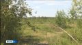 В Якутии значительно сократили ущерб лесному фонду от пожаров