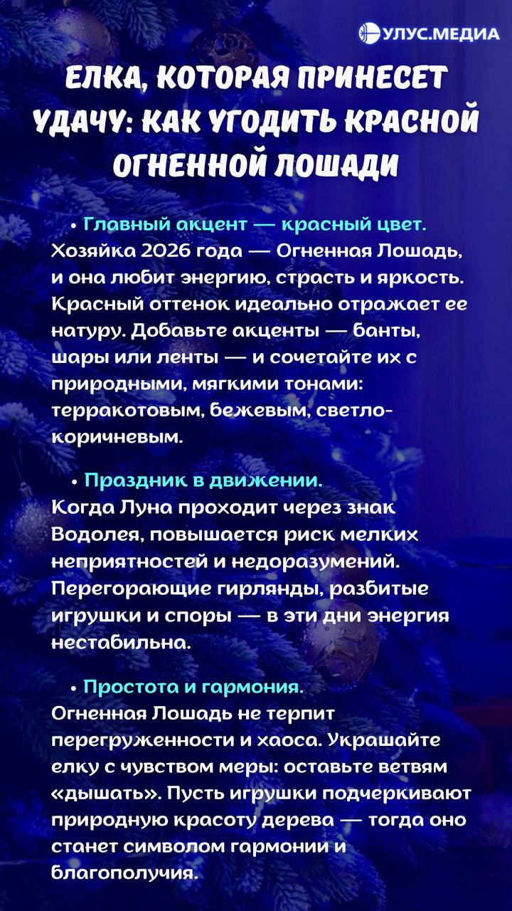 Когда ставить ёлку, чтобы весь 2026 год был удачным Когда ставить ёлку, чтобы весь 2026 год был удачным