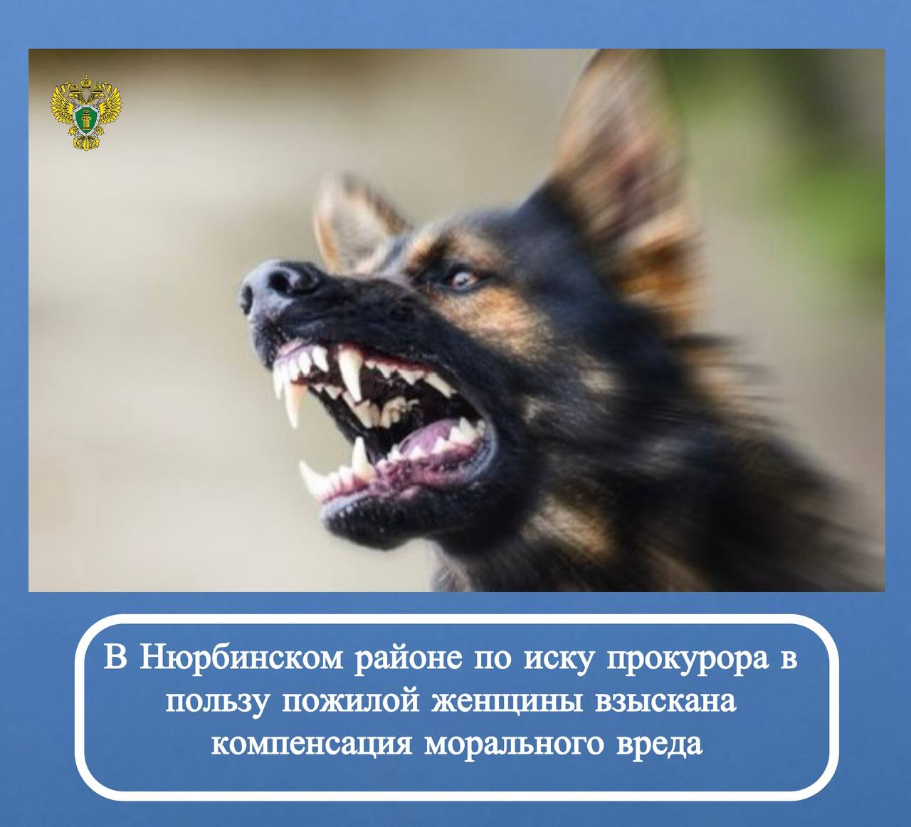 Новости прокуратуры на Едином портале прокуратуры РФ Новости прокуратуры на Едином портале прокуратуры РФ