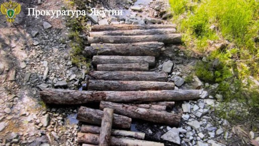 В Хангаласском районе прокуратура направила в суд уголовное дело о незаконной рубке лесных насаждений на территории Национального парка "Ленские столбы"