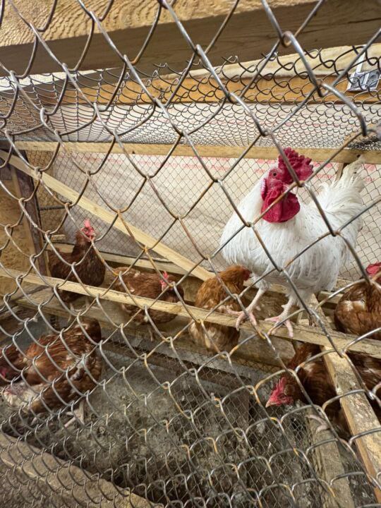 Кустуур орто оскуолатын бырайыага олоххо киирдэ! Кустуур орто оскуолатын бырайыага олоххо киирдэ!