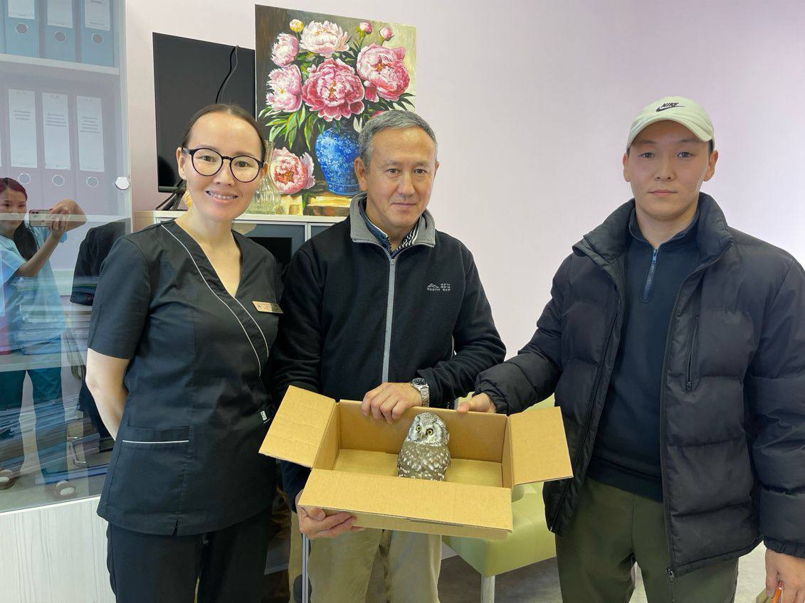 Совенок, найденный в Якутске, в настоящее время находится на карантине в Республиканском зоопарке «Орто дойду» Совенок, найденный в Якутске, в настоящее время находится на карантине в Республиканском зоопарке «Орто дойду»