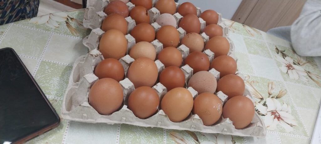 Кустуур орто оскуолатын бырайыага олоххо киирдэ! Кустуур орто оскуолатын бырайыага олоххо киирдэ!