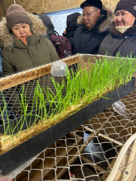 Кустуур орто оскуолатын бырайыага олоххо киирдэ! Кустуур орто оскуолатын бырайыага олоххо киирдэ!