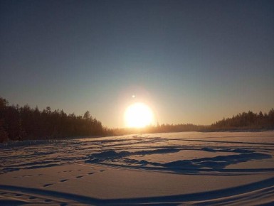 Дмитриев день: 8 ноября нельзя мыть полы и гладить котов